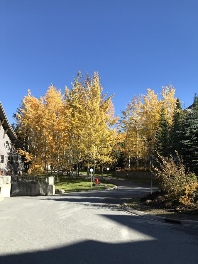 The Best Top Floor Ski-In/Ski-Out At The Aspens ويسلار المظهر الخارجي الصورة
